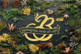 Monogram Swsh Font for Eye-Catching Display Typography