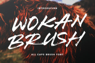 Wokan Font Review: A Quirky Display Typeface for Creative Publishing