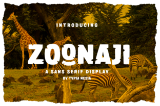 Zoonaji Display Font for Memorable Campaigns